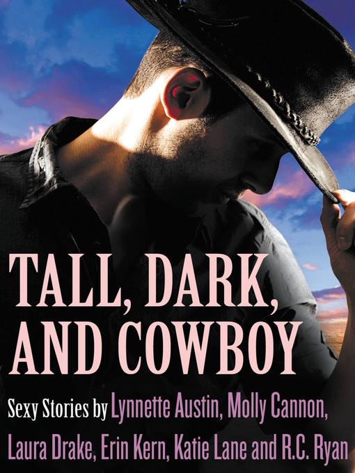 Title details for Tall, Dark, and Cowboy Box Set by Lynnette Austin - Wait list